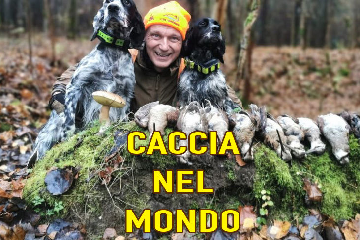 caccia alla beccaccia in lituania caccia nel mondo