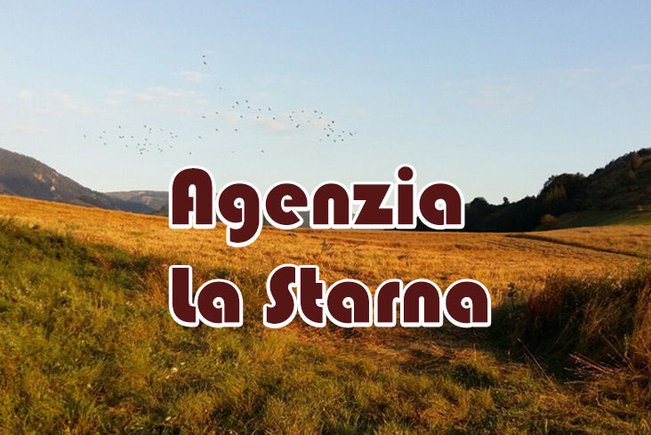 caccia ai tordi in grecia la starna
