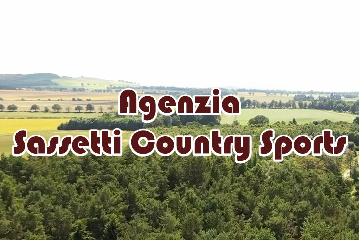 caccia alla quaglia in romania sassetti country sports